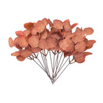 Artificial Eucalyptus Stems