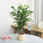 Minimalist Ceramic Plant Pot