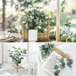 5/10/20Pcs Of Eucalyptus Leaf Stems